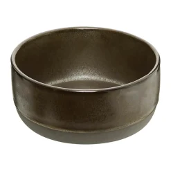 Skål