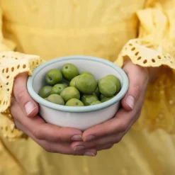 Skål