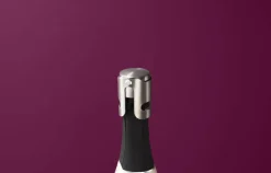 Sommelier Champagneprop