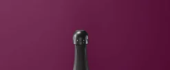 Sommelier Champagnestoppere - 2 stk.