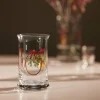 Christmas 2025 Vandglas