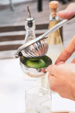 Citruspresser