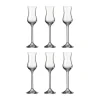 Daily Portvinsglas - 6 stk.