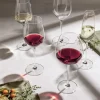 Fortissimo Champagneglas - 4 stk