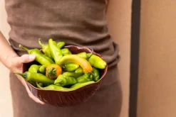 Fruity Salatskål