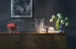 Hallon Skål