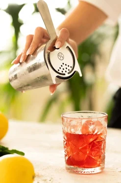 Hawthorne Strainer