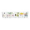 Moomin x Iittala Drikkeglas - Fiskeri