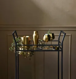 Parisian Shaker