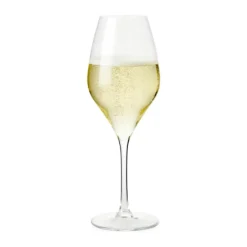 Premium Champagneglas - 2 stk.