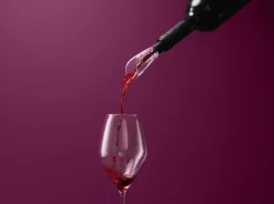 Sommelier Vinilter