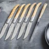 Steakkniv - 6 stk.