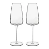 Talismano Champagneglas - 2 stk.