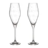 Toy's Delight Champagneglas - 2 stk.